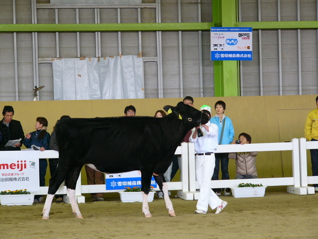 �H�����񁕃G�g�Z�g��