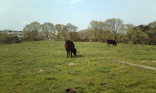 �H�����񁕃G�g�Z�g��