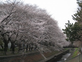 �����W���[�W�́u������ƋC�y�Ɂv