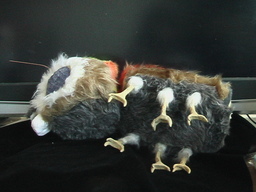 �S�W���𑢂�!�iBuild a Godzilla�j�M�j���[�����`�H�[