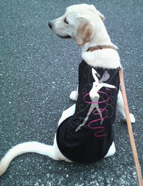 �o���������Ƃ�������I