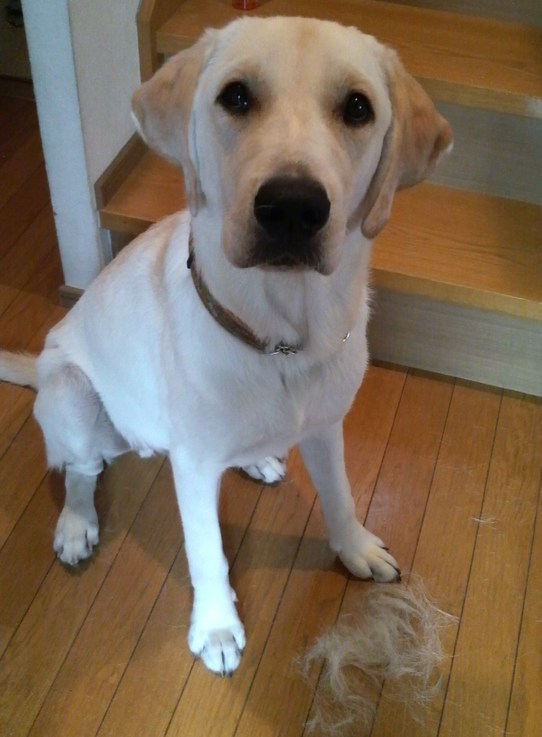 �o���������Ƃ�������I