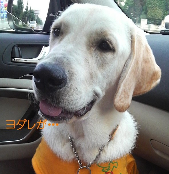 �o���������Ƃ�������I