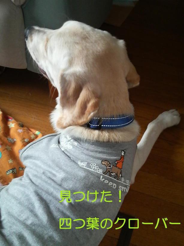 �o���������Ƃ�������I