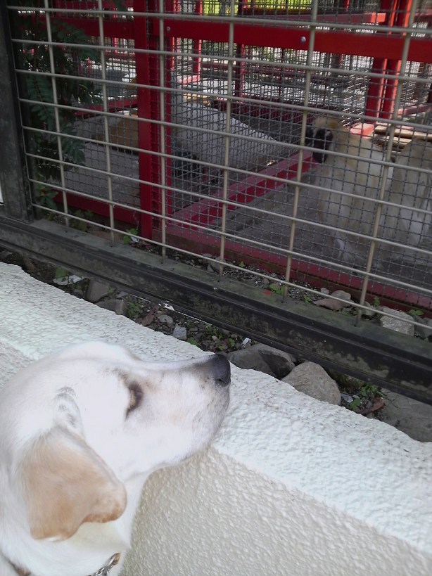 �o���������Ƃ�������I