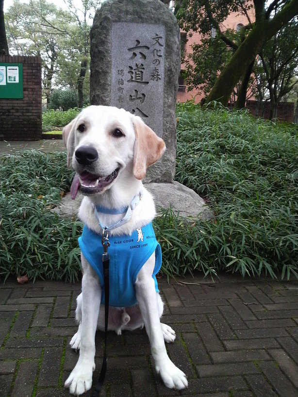 �o���������Ƃ�������I