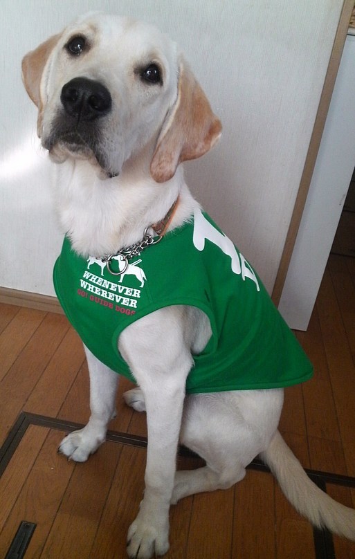 �o���������Ƃ�������I