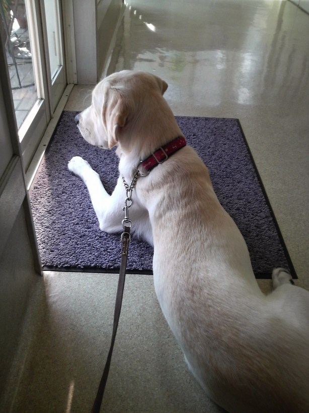 �o���������Ƃ�������I