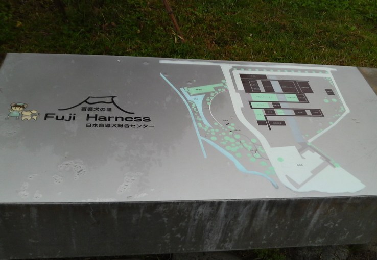 �o���������Ƃ�������I