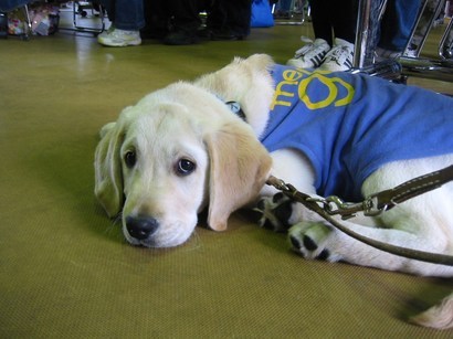 �o���������Ƃ�������I