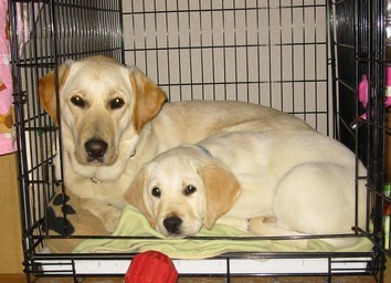 �o���������Ƃ�������I