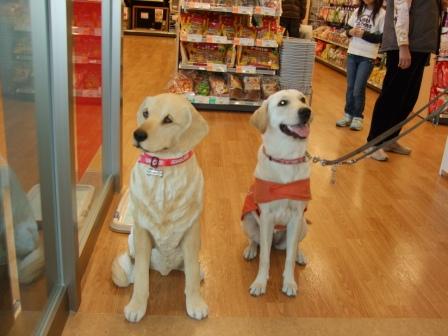 �o���������Ƃ�������I