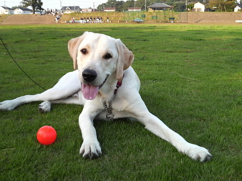 �o���������Ƃ�������I