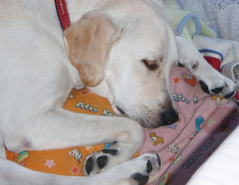 �o���������Ƃ�������I