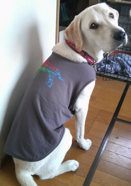 �o���������Ƃ�������I