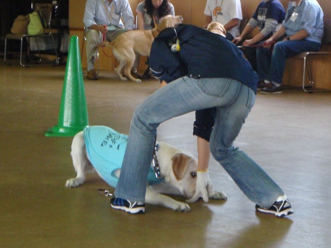 �o���������Ƃ�������I