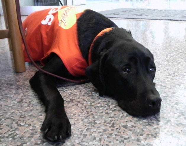 �o���������Ƃ�������I