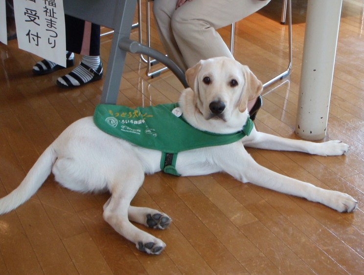 �o���������Ƃ�������I