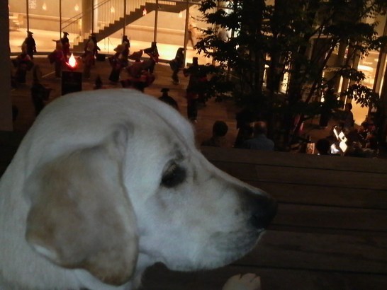 �o���������Ƃ�������I