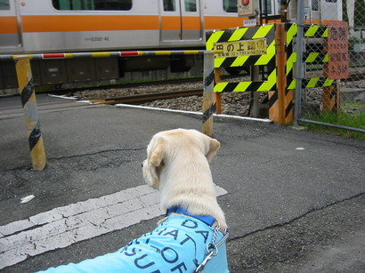 �o���������Ƃ�������I