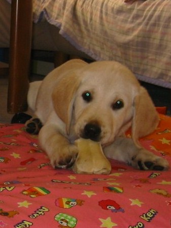 �o���������Ƃ�������I