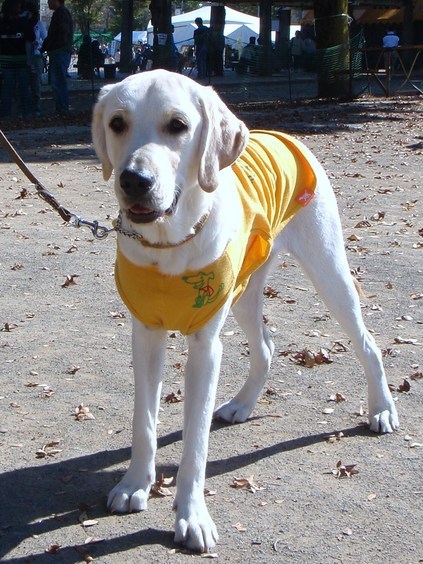 �o���������Ƃ�������I