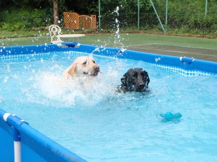 �o���������Ƃ�������I