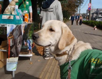 �o���������Ƃ�������I