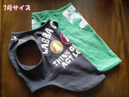 �o���������Ƃ�������I