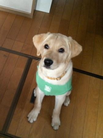 �o���������Ƃ�������I