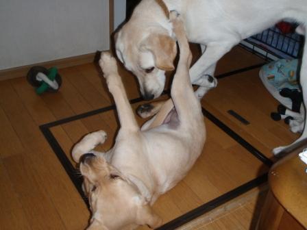 �o���������Ƃ�������I