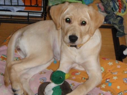 �o���������Ƃ�������I