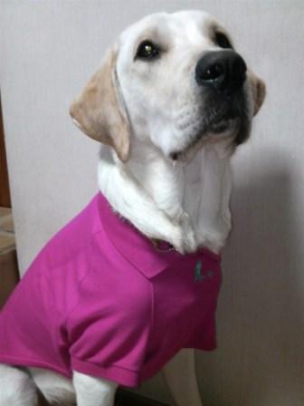 �o���������Ƃ�������I