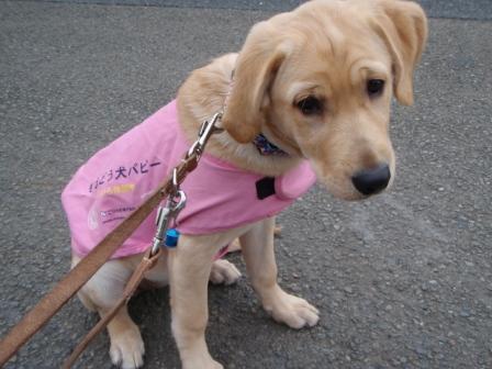 �o���������Ƃ�������I