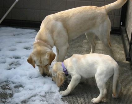 �o���������Ƃ�������I