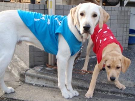 �o���������Ƃ�������I