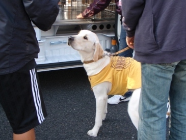 �o���������Ƃ�������I