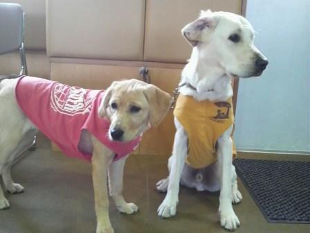 �o���������Ƃ�������I