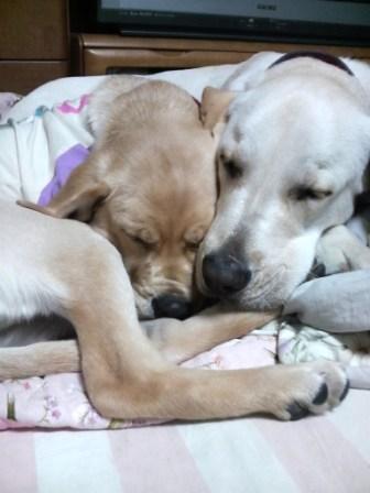 �o���������Ƃ�������I