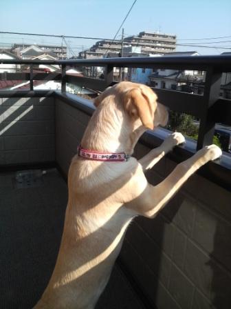 �o���������Ƃ�������I