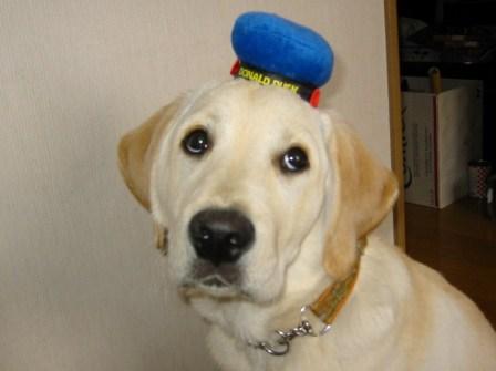 �o���������Ƃ�������I