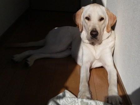 �o���������Ƃ�������I