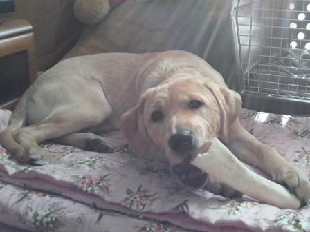 �o���������Ƃ�������I