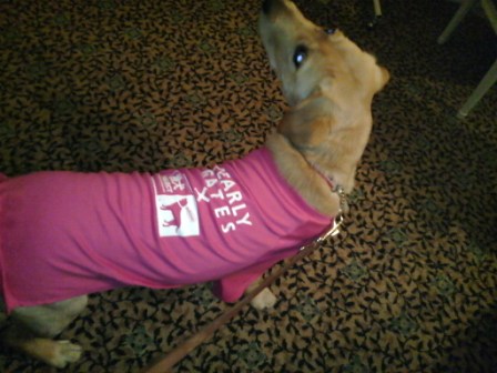 �o���������Ƃ�������I