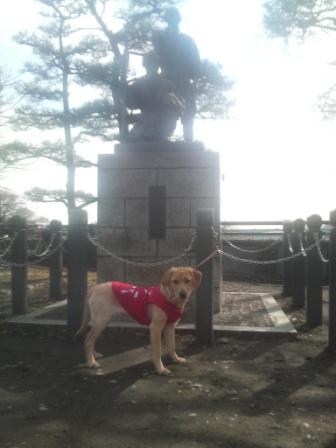 �o���������Ƃ�������I