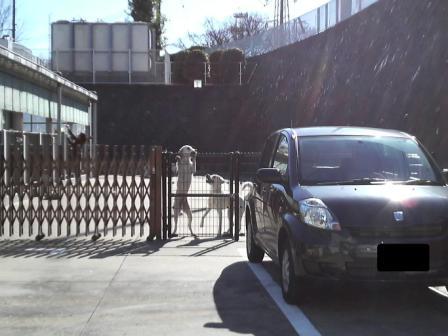 �o���������Ƃ�������I