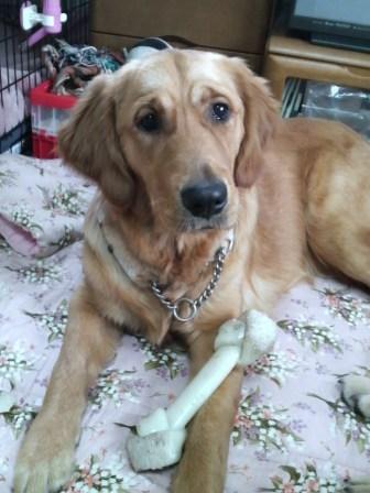 �o���������Ƃ�������I