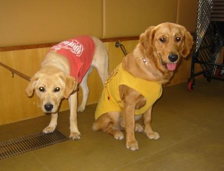 �o���������Ƃ�������I