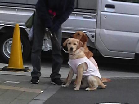 �o���������Ƃ�������I