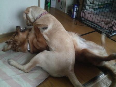 �o���������Ƃ�������I